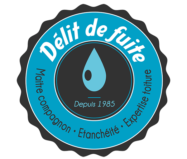 Délit de fuite